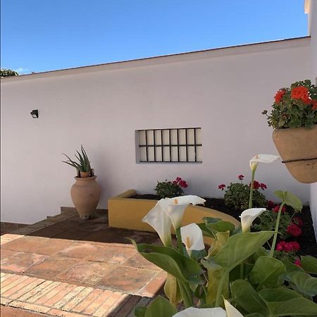 Encantador Apartamento-Centrico-Con Amplio Jardin Τορρεμολίνος Εξωτερικό φωτογραφία