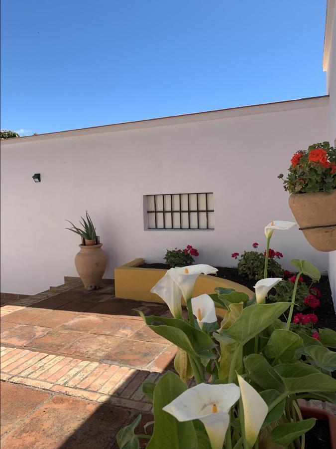 Encantador Apartamento-Centrico-Con Amplio Jardin Τορρεμολίνος Εξωτερικό φωτογραφία
