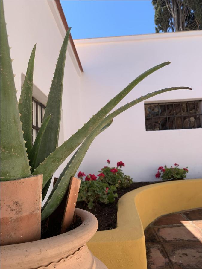 Encantador Apartamento-Centrico-Con Amplio Jardin Τορρεμολίνος Εξωτερικό φωτογραφία