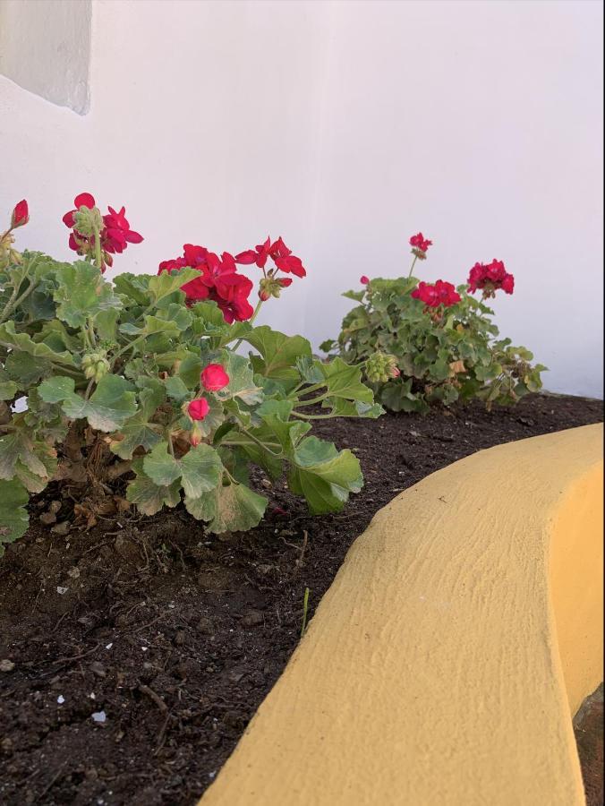 Encantador Apartamento-Centrico-Con Amplio Jardin Τορρεμολίνος Εξωτερικό φωτογραφία